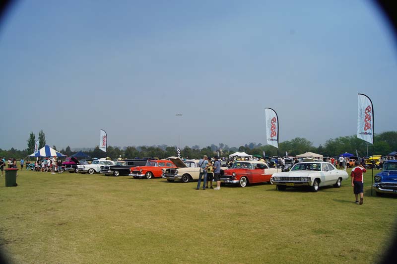 DSC03685
