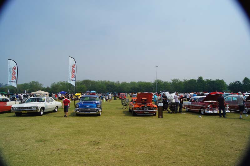 DSC03686